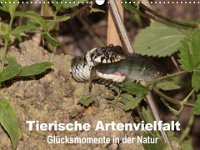 Tierische Artenvielfalt 2016